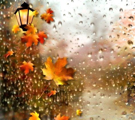 Autumn Rain